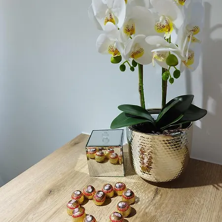 Stan Na Dan Mozart Биелина