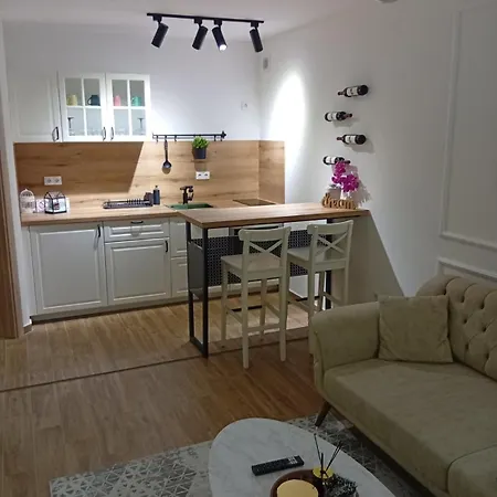 Stan Na Dan Mozart *